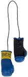 BENLEE Miniatur Boxhandschuhe MINI GLOVES