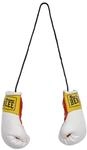 BENLEE Rocky Marciano Unisex-Adult Mini Miniature Boxing Gloves, Weiss, one Size,