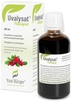 Uvalysat Fl&uuml;ssigkeit zum Einnehmen, 100 ml