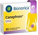 Canephron Uno, 4-fach Wirkung bei Blasenentz&uuml;ndung mit einer einzigartigen