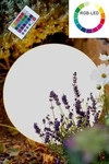 8 seasons design 3032416L, 8 Seasons Design Shining Globe RGB 30cm