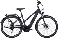 Pegasus 644-17345, E-Bike - Pegasus Solero Evo 9 trapez schwarz - 45 cm