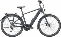 Pegasus 837-27160, E-Bike - Pegasus Premio EVO 10 Lite Herren - 60 cm