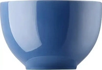Thomas 10850-408545-15456, Thomas Sunny Day Nordic Blue M&uuml;slischale 12 cm