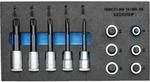 GEDORE 1500 CT1-INX 19 LK Satz Schraubendrehereins&auml;tze 1/2 in Check-Tool-Modul"