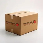Br tje Drucksensor WGB/BBS EVO