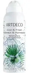 Cool & Fresh Refreshing Face Spray
