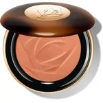 Teint Idole Ultra Wear Bronzer