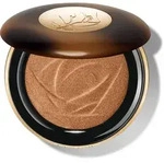 Id&ocirc;le Teint Ultra Powder Highlighter