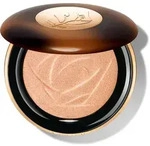 Id&ocirc;le Teint Ultra Highlighter