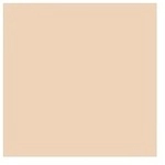 Perfect Teint Concealer
