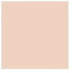 Perfect Teint Concealer