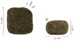 Bosch Medium Junior 1x1 kg