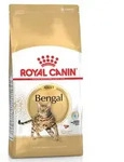 Royal Canin FBN Bengal Adult 1x10 kg