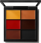 MAC Cosmetics Studio Fix Conceal & Correct Palette