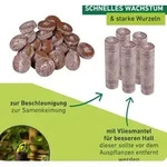 6852 Anzucht-Quelltabs 50 Stk/Pkg 1265557