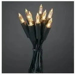 6301-100 LED Minilichterkette