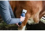 Rinder-Schermaschine FarmClipper Akku2 - mit 2 Akkus und Schermesser