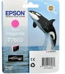 Epson Tinte C13T760340 vivid magenta T7603