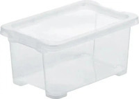 Rotho Kunststoff Box, Evo Easy - Transparent - ca.17,2x12,8x27cm