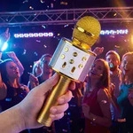 Kabelloses Karaoke-Mikrofon mit Lautsprecher Gold &ndash; Bluetooth 5.0 f&uuml;rs...