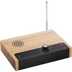 Theremin Baukasten f&uuml;r Technik- & Musik-Enthusiasten: Ab 14 Jahre, ohne L&ouml;ten -