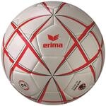 Handball Erima Magic