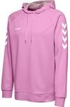 Kinder-Kapuzenpulli Hummel GO