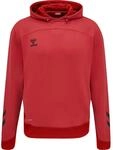 Kinder-Hoodie Hummel hmllead poly