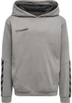 Hoodie Kinder Hummel hmlAUTHENTIC Poly