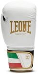 Boxhandschuhe Leone Italy