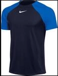 Nike Dri-Fit Academy Pro Herren Trikot, blau, Gr. S