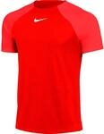 Nike Dri-Fit Academy Pro Trikot f&uuml;r Herren, rot DH9225-657