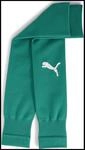 Puma teamGOAL Herren Socken, gr&uuml;n