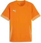 Puma teamGOAL Matchday Trikot f&uuml;r Herren, orange 705747