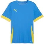 Puma teamGOAL Matchday Trikot f&uuml;r Herren, blau 705747