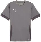Puma teamGOAL Matchday Trikot f&uuml;r Herren, grau 705747