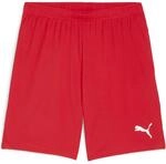 Puma teamGOAL Shorts f&uuml;r Herren, rot 705752