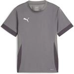 Puma teamGOAL Matchday Trikot f&uuml;r Kinder, grau 705748