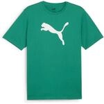 Puma teamRISE Logo Cotton T-Shirt f&uuml;r Herren, gr&uuml;n 658705