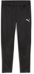 Puma teamGOAL Training Sporthose f&uuml;r Herren, schwarz 658639
