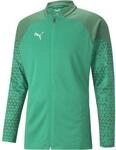 Puma teamCUP Training Blouson f&uuml;r Herren, gr&uuml;n 657983