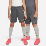 Nike Dri-Fit Academy emyemy Kinder Shorts, grau, Gr. L
