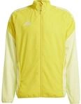 Adidas Tiro 25 Competition Presentation Fu&szlig;balljacke f&uuml;r Herren, gelb JI8949