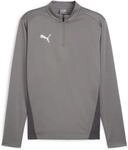 Puma teamGOAL Training 1/4 Zip Top Longsleeve f&uuml;r Herren, grau 658629