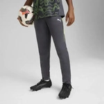 Puma 659518_08, Puma IndividualLIGA Training Sporthose f&uuml;r Kinder, grau