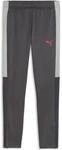 Puma Individualliga Training Sporthose f&uuml;r Kinder, grau 660573