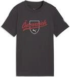 Puma &Ouml;sterreich Ftblculture T-Shirt f&uuml;r Kinder, grau 783901