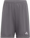 Adidas Entrada 22 Teamhose f&uuml;r Kinder, grau H57507