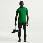 Nike Dri-Fit Park VIII Trikot f&uuml;r Herren, gr&uuml;n HV8173-302